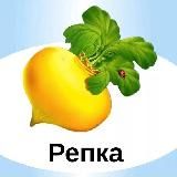 Репка