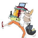 Real Decreto Español