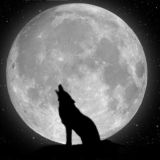 🐺 WWG 🐺 - WereWolfGame ITA