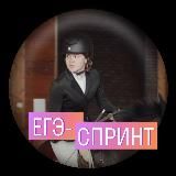 Английский с Соней ЕГЭ Skysmart Exams 2026