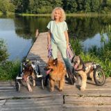 Псяшкин дом Chat