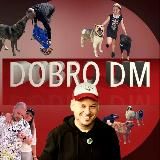 🎵 DM - STUDIO 🎧