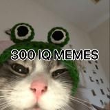 300 iq memes