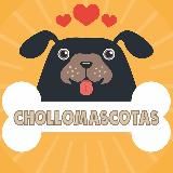 𝗖𝗛𝗢𝗟𝗟𝗢𝗠𝗔𝗦𝗖𝗢𝗧𝗔𝗦 🐾