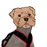 домик бима😝