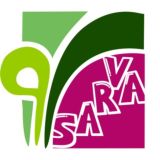 Оптовая торговля экспорта с Ирана - консервов -Масло и эссенция лекарственных растений