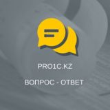 PRO1C.kz. Чат