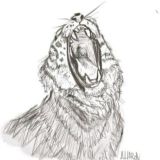 ציורים-שיתוף שיטות ואמנות