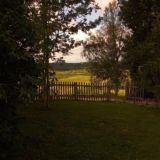 Комменты