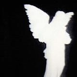 powerful standoff 2 players