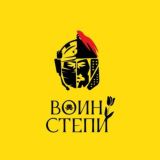 Воин степи