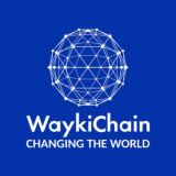 WaykiChain Turkey / Dünyanın önde gelen ağ zinciri ve Defi ekosistemi