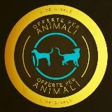 Offerte per Animali