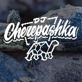 dj cherepashka