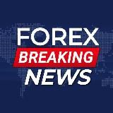 اخبار الفوركس العاجلة 📊📚