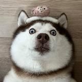 🎈胸部 大奶 奶子 鉴赏