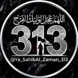 اللهُمَّ عَجِّل لِوليُكَ الفَرَج ₃₁₃