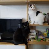 하나 IT 김록호,김현수,김민경