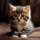 Кисыч 🐈