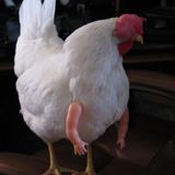 Файлы Деда👴🏻