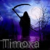 Тимоха ВЦ ВОРК