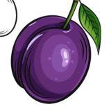 Сливи від єнота