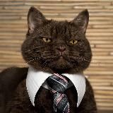 Обман казино Схема обхода