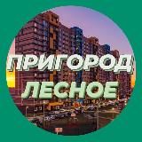 Пригород Лесное Новости