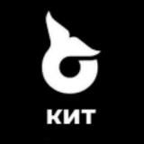 КИТ про инвестиции и криптовалют