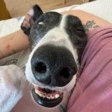 Уважительное обсуждение🌼