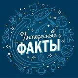 Интересные факты