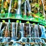 TANISHAMIZ. DOSTLASHAMIZ