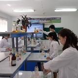 TPhI_AL admission 2024