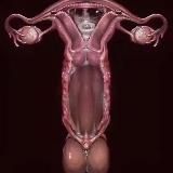 猎奇 性癖 重口 频道 【SEXlieqi】