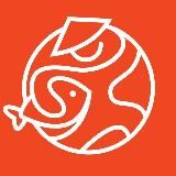 Сушкоф и пицца