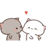 ✨✨𝕄𝕠𝕠𝕟 ℍ𝕒𝕔𝕜✨✨