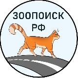 Зоопоиск РФ • потеряшки при перевозке