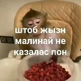 новый канал (чек закреп)