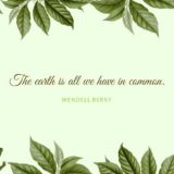 ☘️ЭКО ПРОДУКЦИЯ ☘️