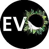 EVO SI (духовное развитие)