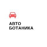 Автоботаника