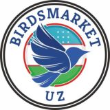 Birds Market