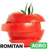 BUXORO ROMITON AGRO