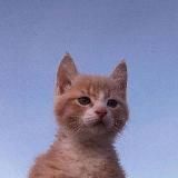 Тик так мозга 📹🤣