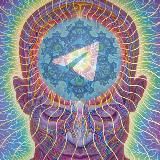 TeleGram/NEWS/SERVICES