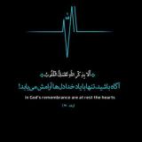 سیستم همکاری در فروش همیشه تخفیف