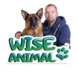 Чат всё о собаках🐶