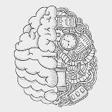 Менсология — просто о мозге