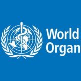 سازمان بهداشت جهانی ✔️