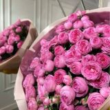 𝑚𝑜𝑥𝑖❣️